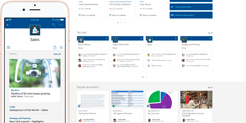 Microsoft Office 365 SharePoint